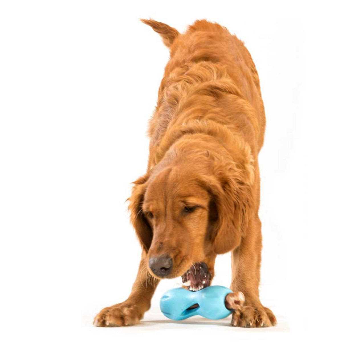 Dog Toy H30501