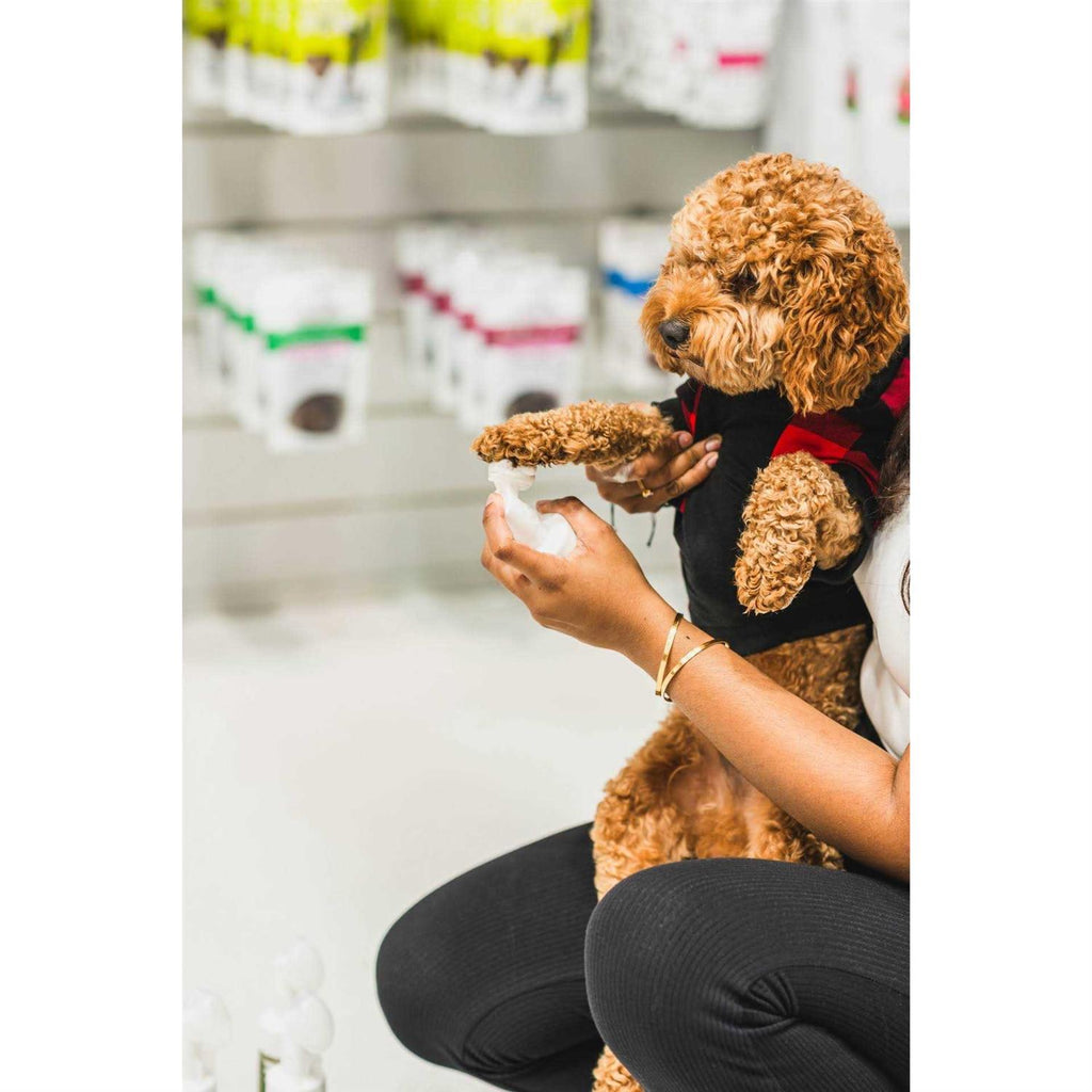 No-Rinse Foaming Cleanser for Dogs T205011