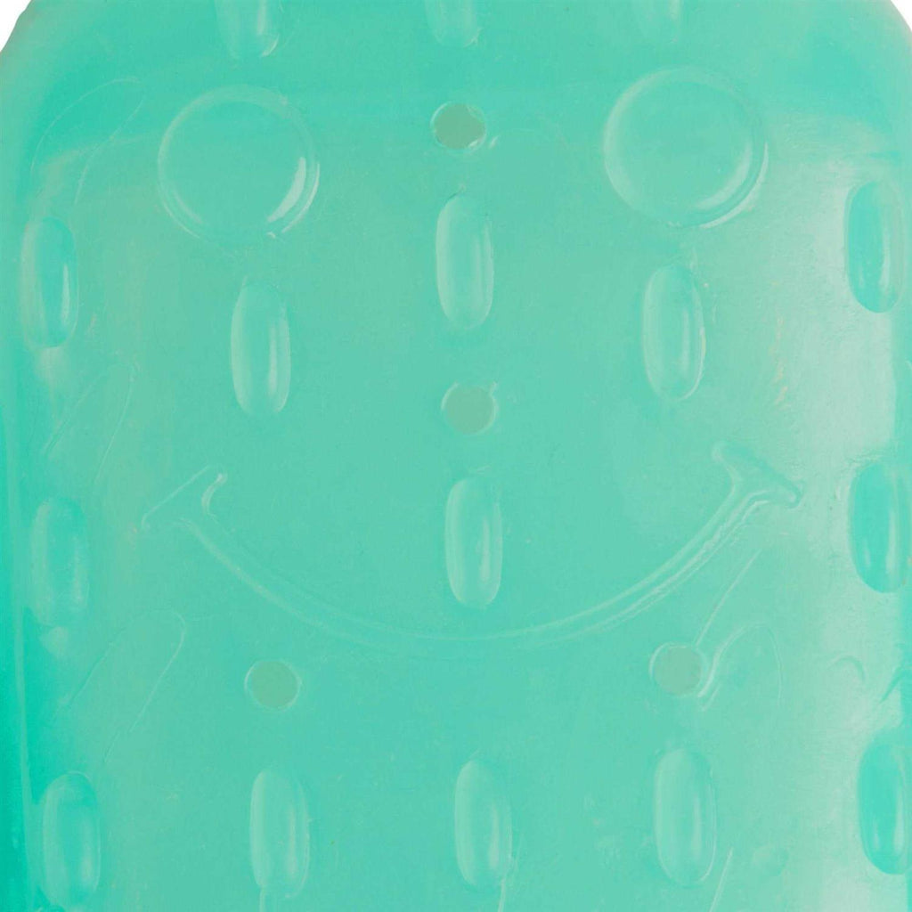 Cactus Chew Ring Dog Toy A619505
