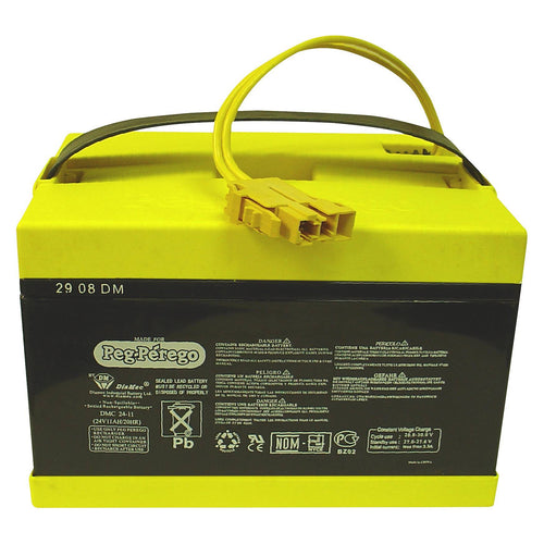 24 Volt Battery P714336