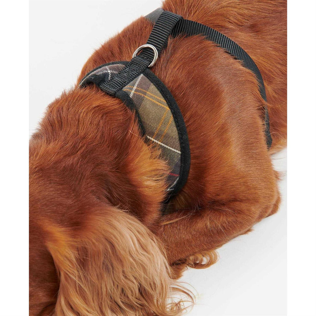 Tartan Dog Harness H92705