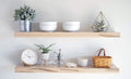 Wormy Maple Floating Accent Shelves, Set of 2 Q34271