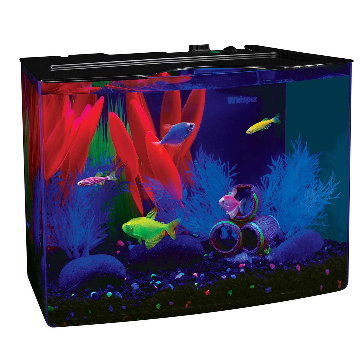5-gallon Aquarium Fish Tank Kit with Decorations, LED Lighting, Filter and Water Conditioner B239