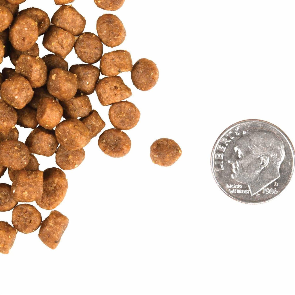 Gold Cat Food Z82948