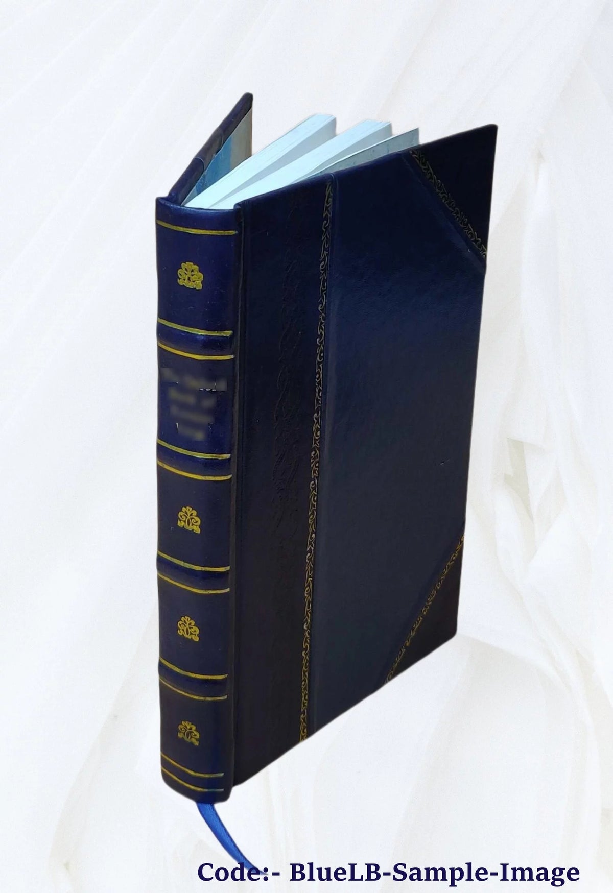 Leather Bound Book H5367