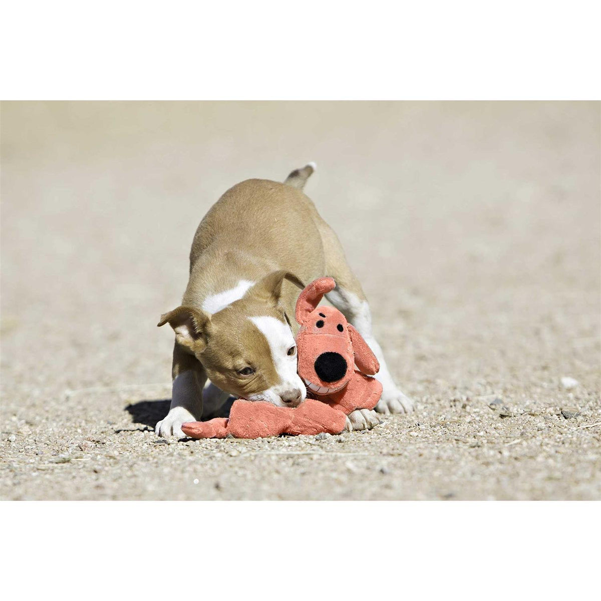 Dog Toy C252