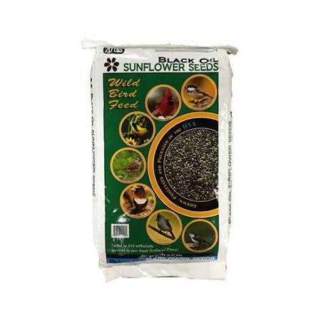20-Lb. Black Oil Sunflower Bird Seeds O24609