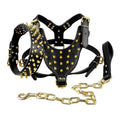 Black Leather Spiked Dog Collar & Leash & Harness 3 Pcs Set Y128246