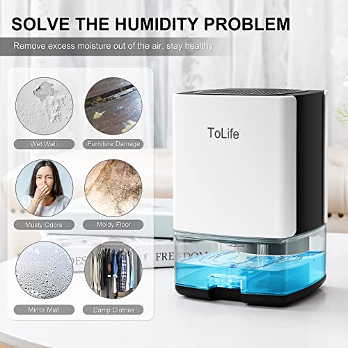 White 30 OZ Portable Small Dehumidifier with Auto-Off O805