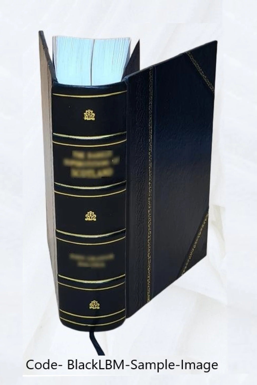 Leather Bound Book D16540