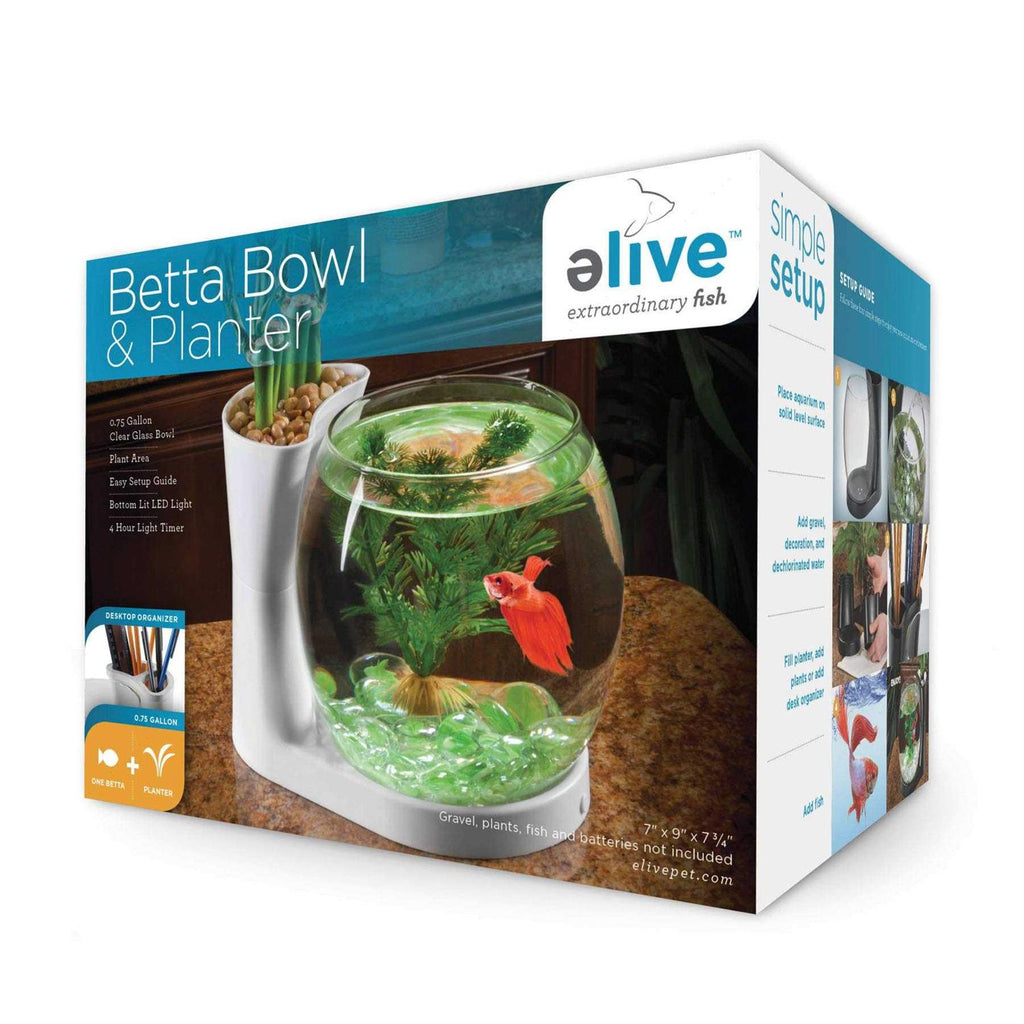 Betta Fish Bowl with Planter G879