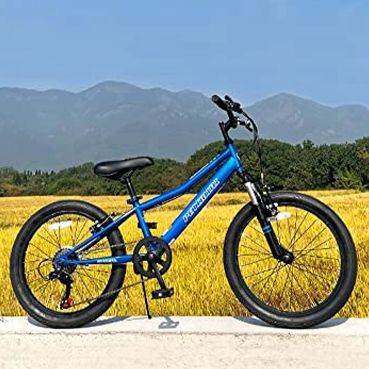 20 In 6 Speed Kids Mountain Bike Blue C604970