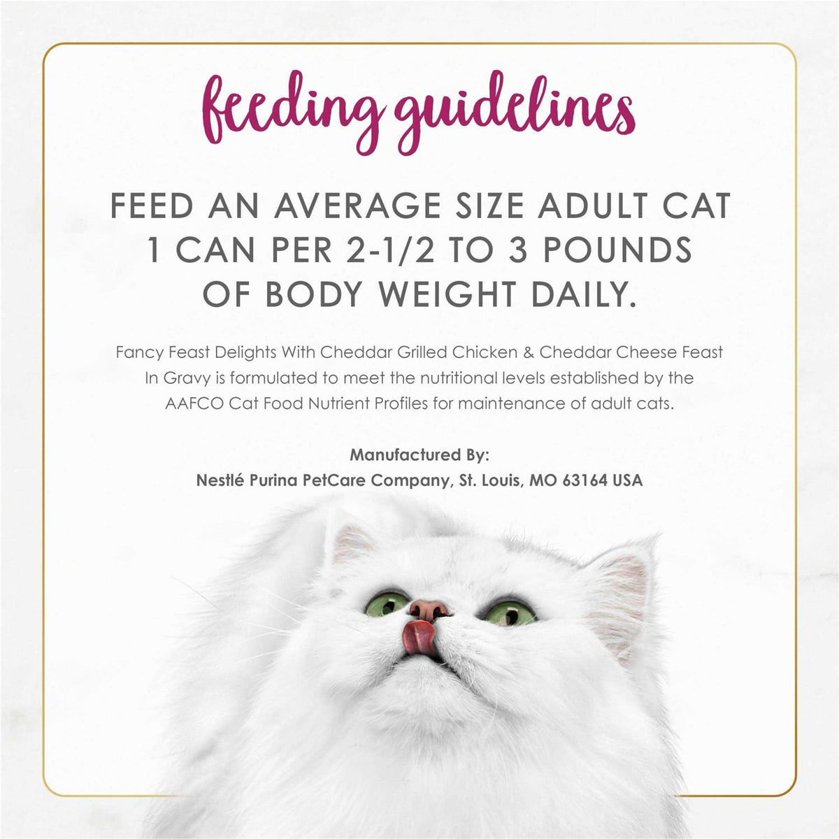 Wet Cat Food K702