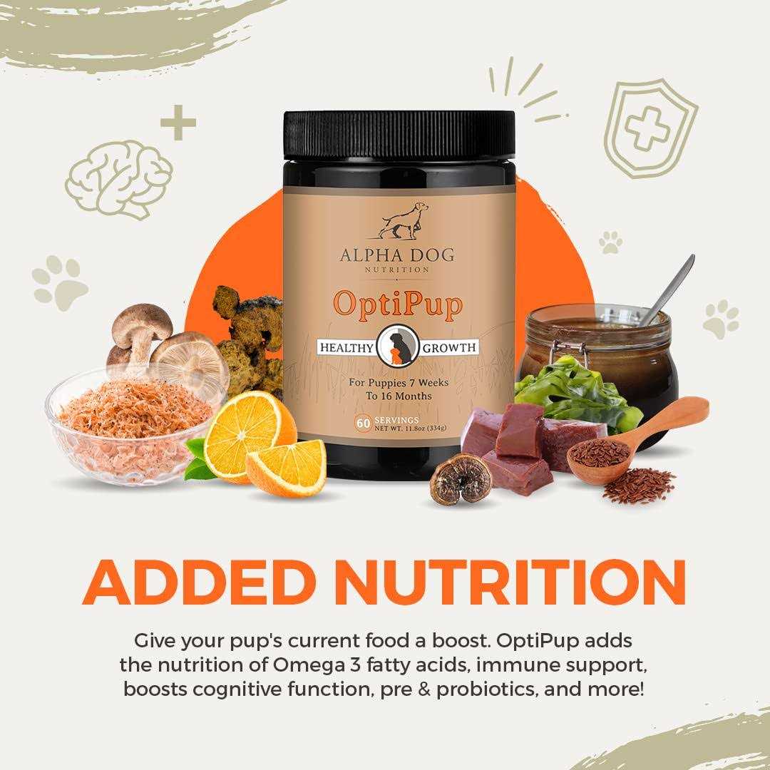 Puppy Multivitamin & Probiotic J884181