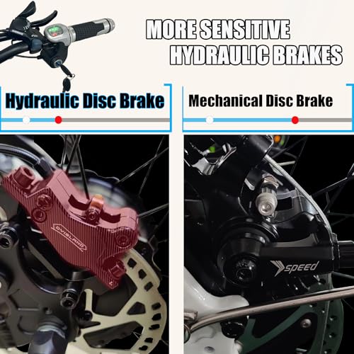 2000W Dual Motor 48V 22Ah Fat Tire Electric Bike Q80089