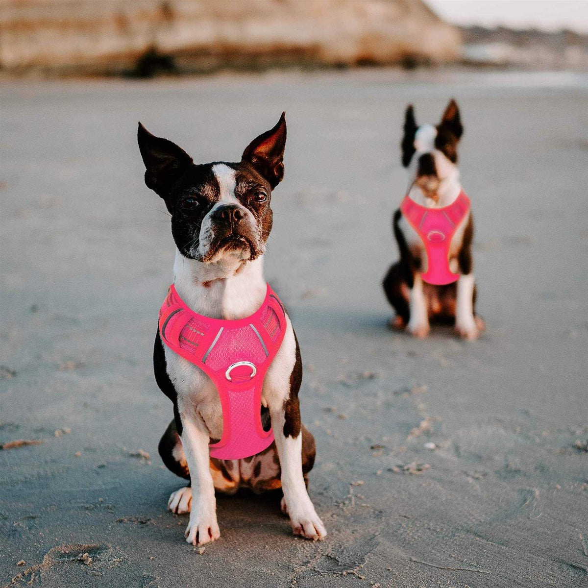 No Pull Reflective Dog Harness with Handle B467