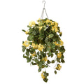 14 in. Bougainvillea Plant Hanging Basket L1784