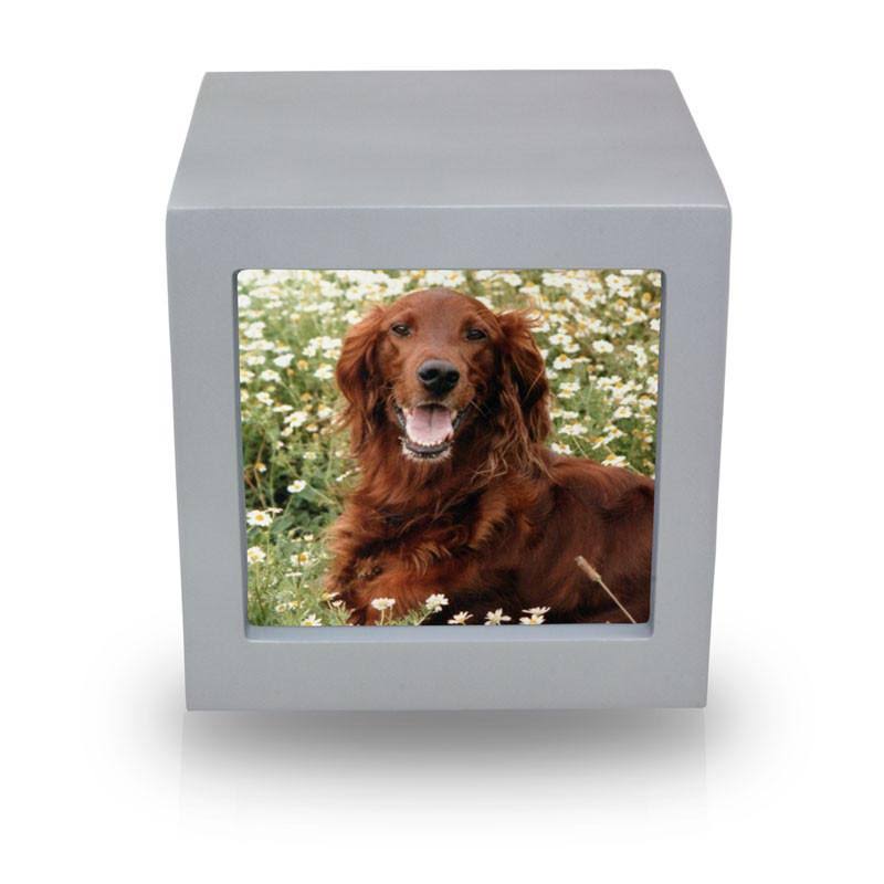 Medium Wood Memorial Urn with Silver Photo Frame H9429