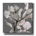 Floral in Gray 2 Canvas Wall Art 18"x18" T212746