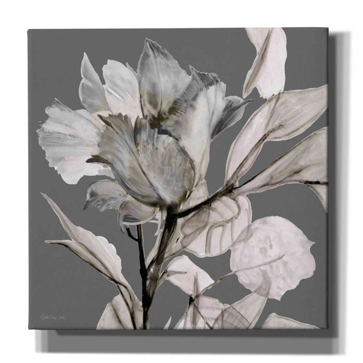 Floral in Gray 2 Canvas Wall Art 18"x18" T212746