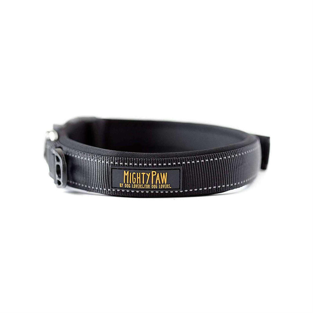 Dog Collar A314