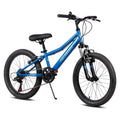 20 In 6 Speed Kids Mountain Bike Blue C604970