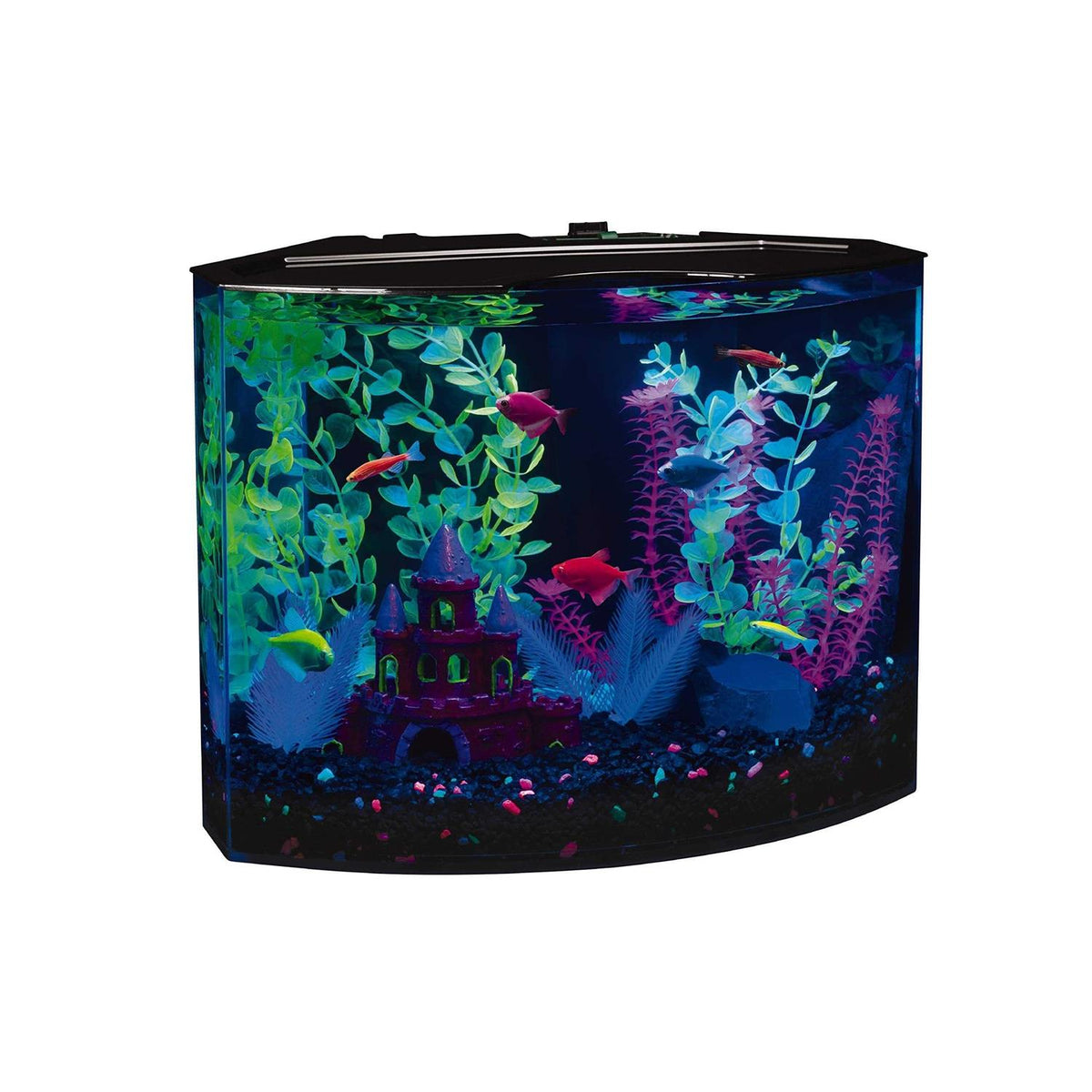 5-gallon Aquarium Fish Tank Kit with Decorations, LED Lighting, Filter and Water Conditioner B239