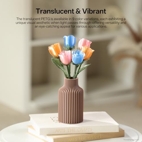 PETG Filament 1.75mm 3D Printer Filament 1KG Spool T65157