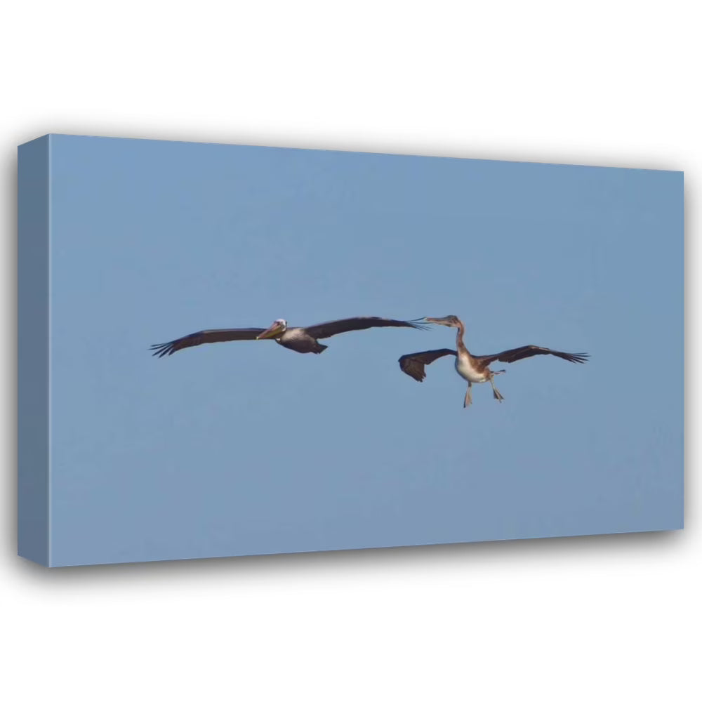 24x18 Gallery Wrapped Canvas Wall Art C1803