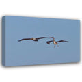 24x18 Gallery Wrapped Canvas Wall Art C1803