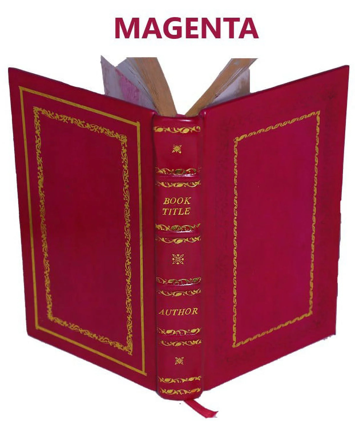 1875 Volume v.1, pt.2 Leather Bound D514