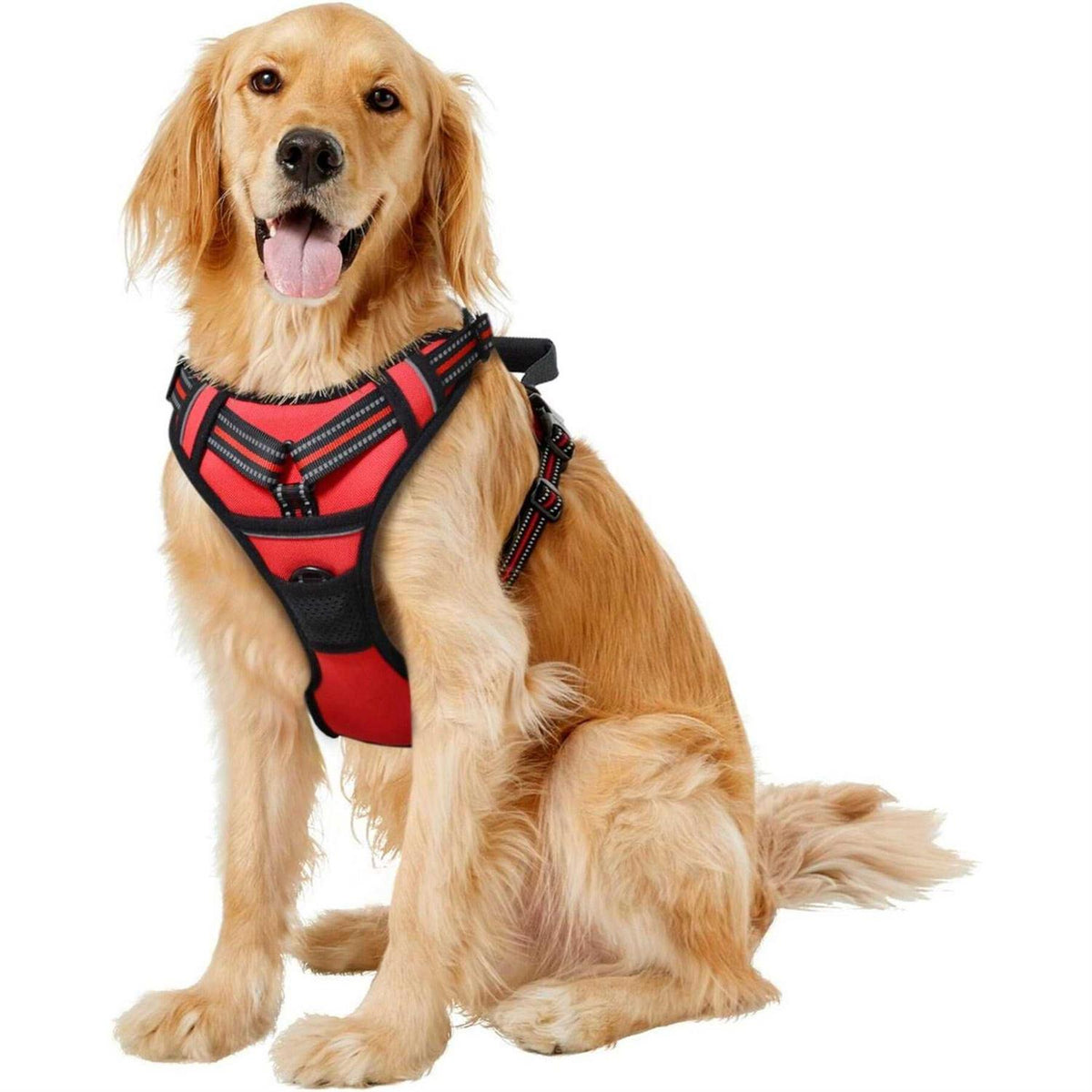Padded Reflective Dog Harness E4053