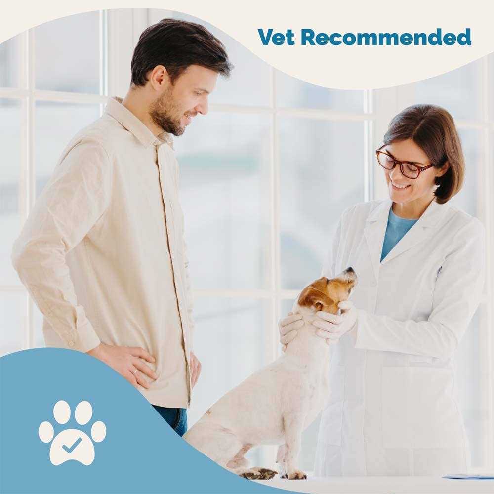 Lignans & Melatonin Blend Medicine for Dogs Q588