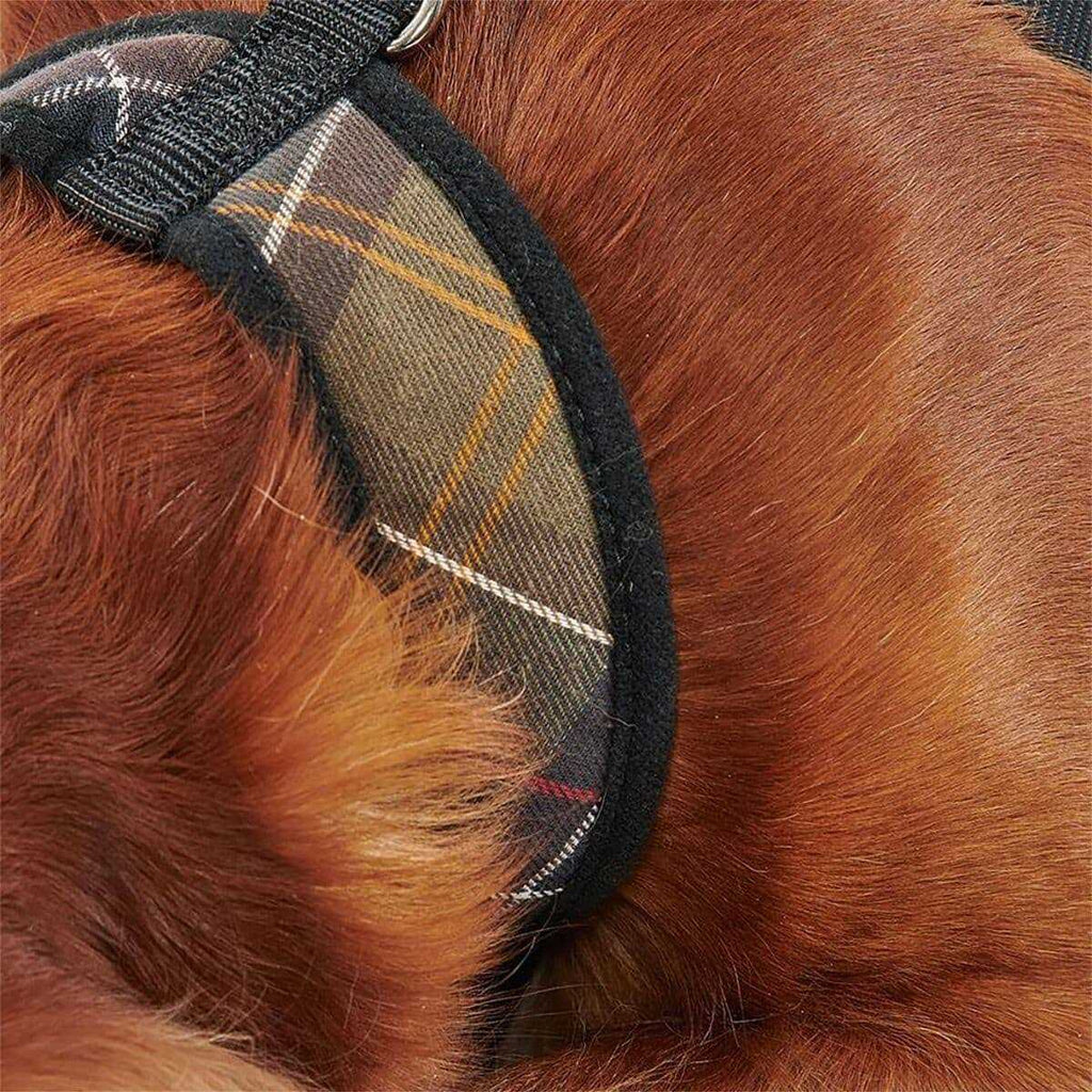 Tartan Dog Harness H92705