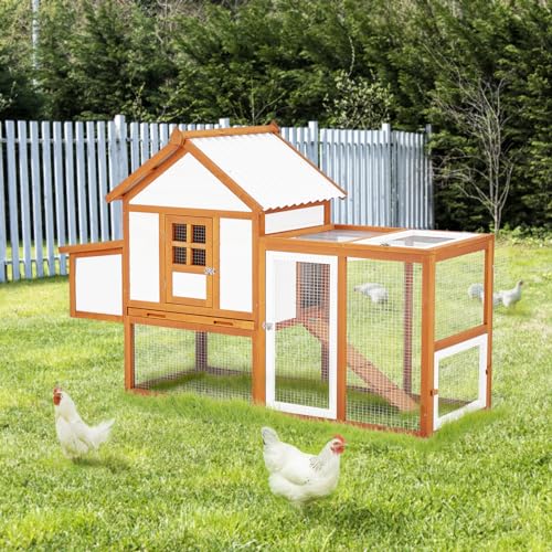 Wooden Chicken Coop with Run and Nesting Box Z55228