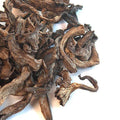 Black Trumpet Mushrooms Dried 1 lbs U663