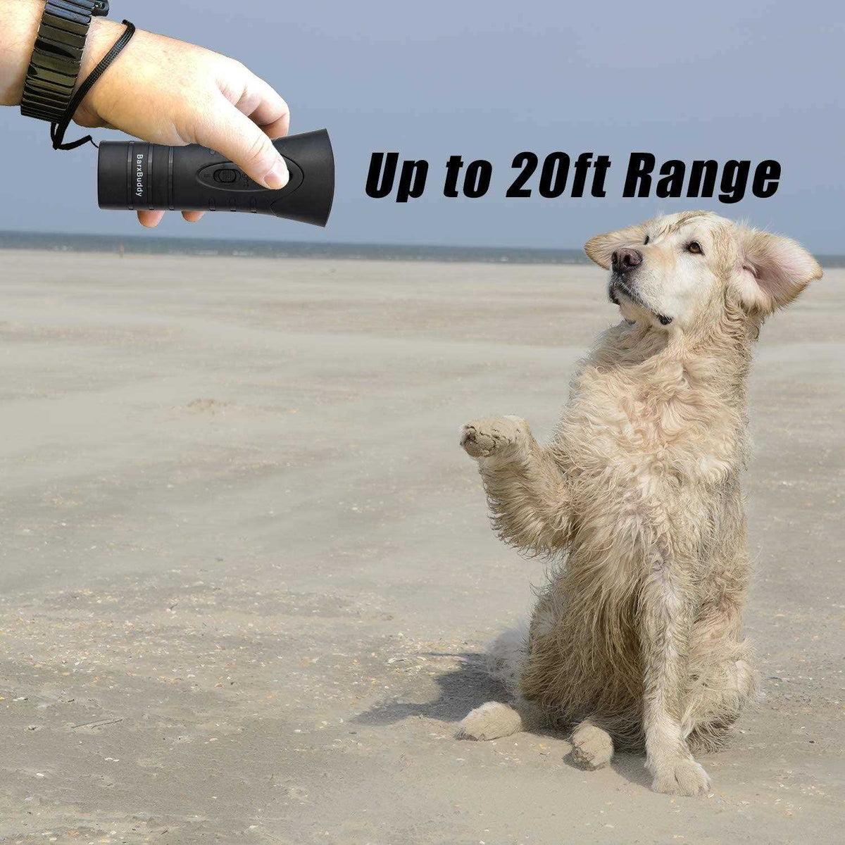 Anti Barking Control Device Ultrasonic with LED Lights and Strap C5309