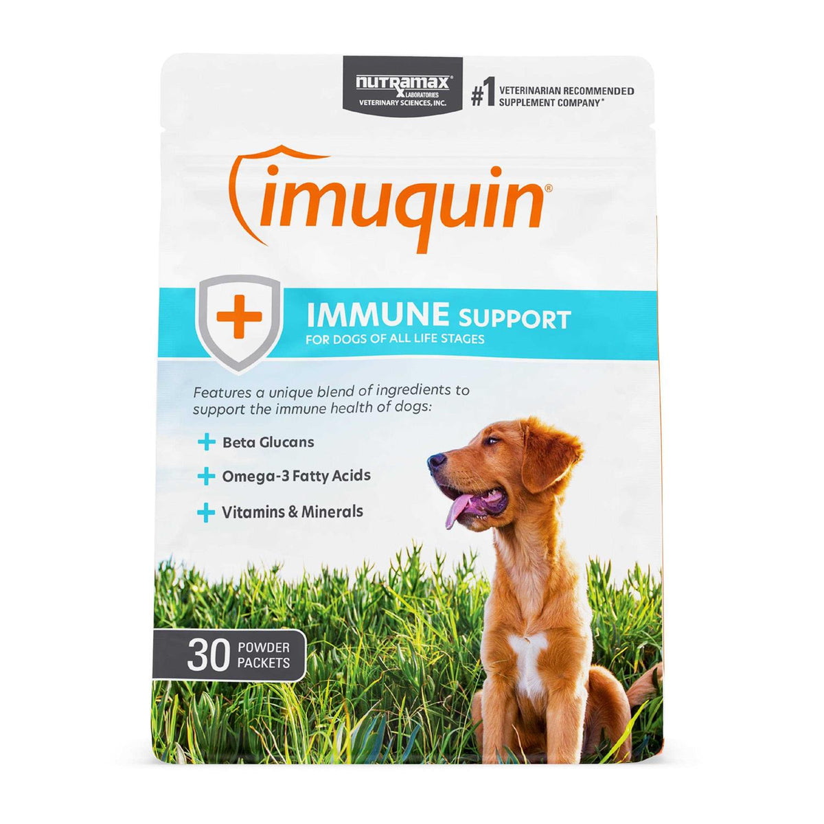 Immune Health Supplement Powder for Dogs W669397