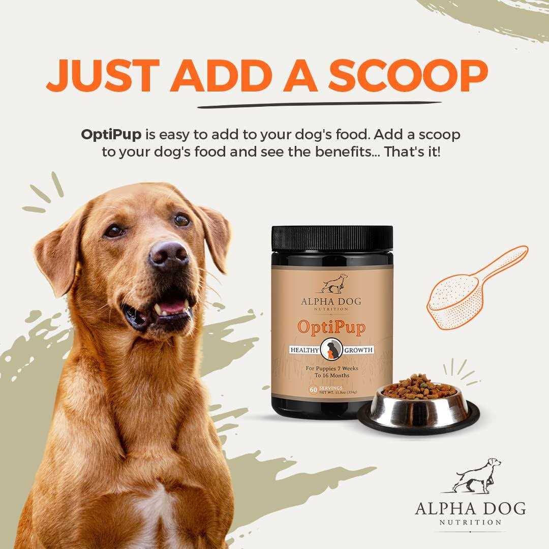 Puppy Multivitamin & Probiotic J884181