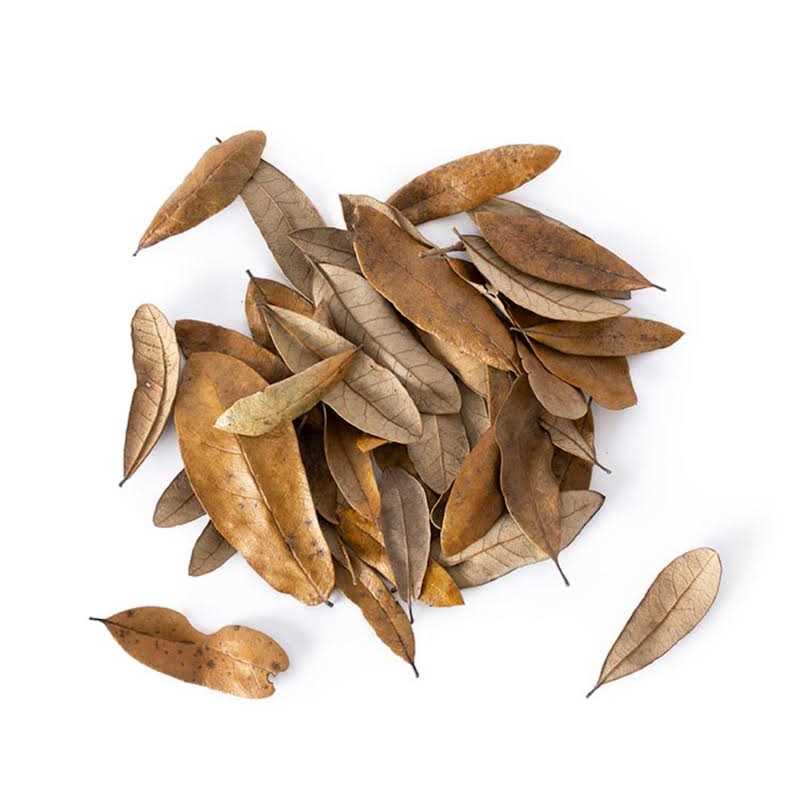 4 qt. Live Oak Leaf Litter S474