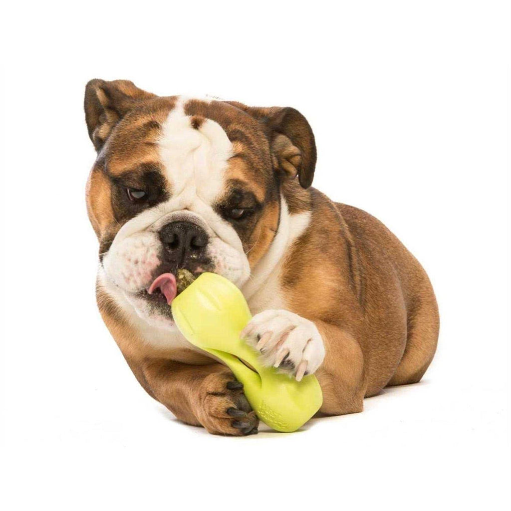 Dog Toy H30501
