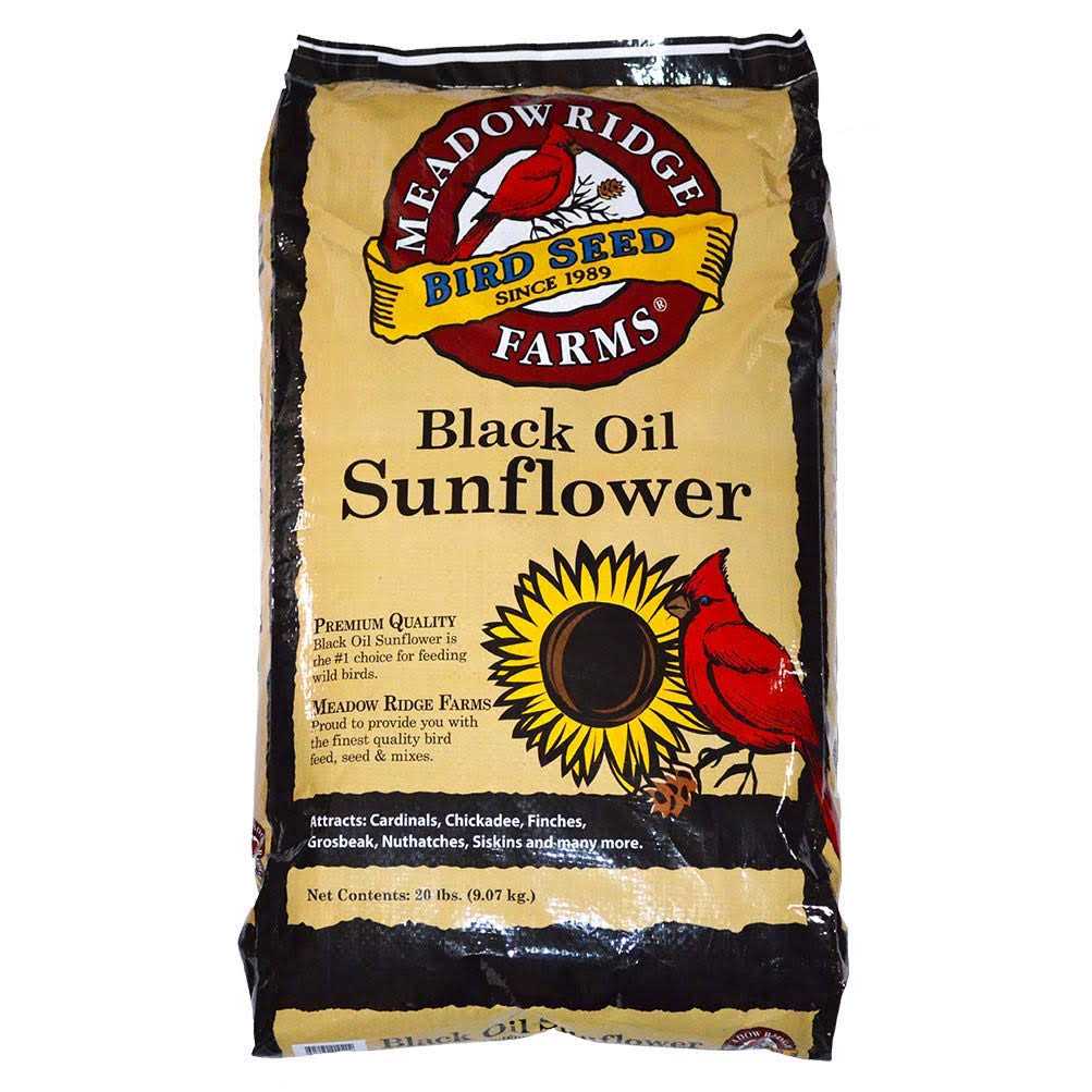 20-Lb. Black Oil Sunflower Bird Seeds O24609