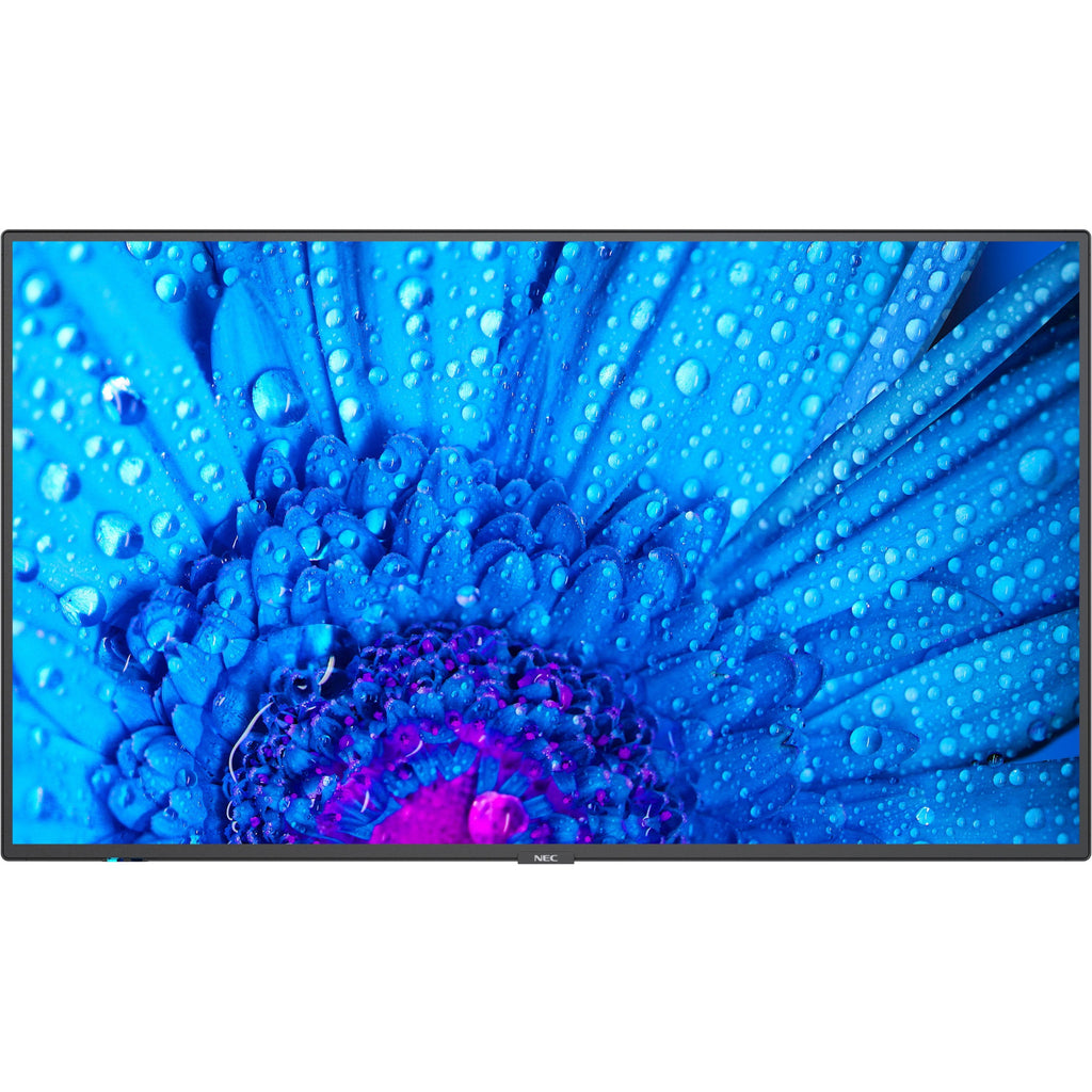 Black 43" 3840 x 2160 (4K) LED LCD Monitor J75535