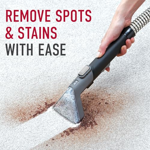 Portable Carpet and Upholstery Spot Cleaner Machine Z625