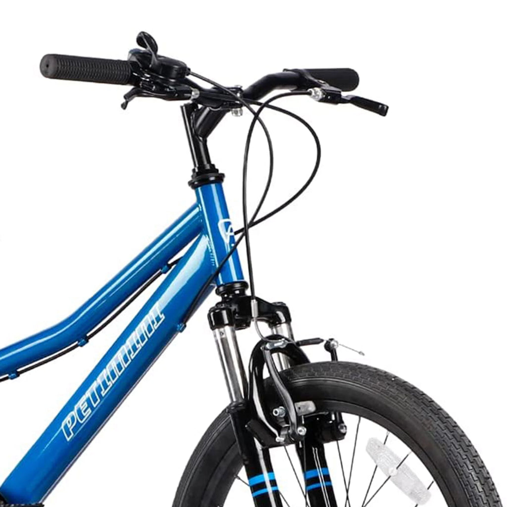 20 In 6 Speed Kids Mountain Bike Blue C604970
