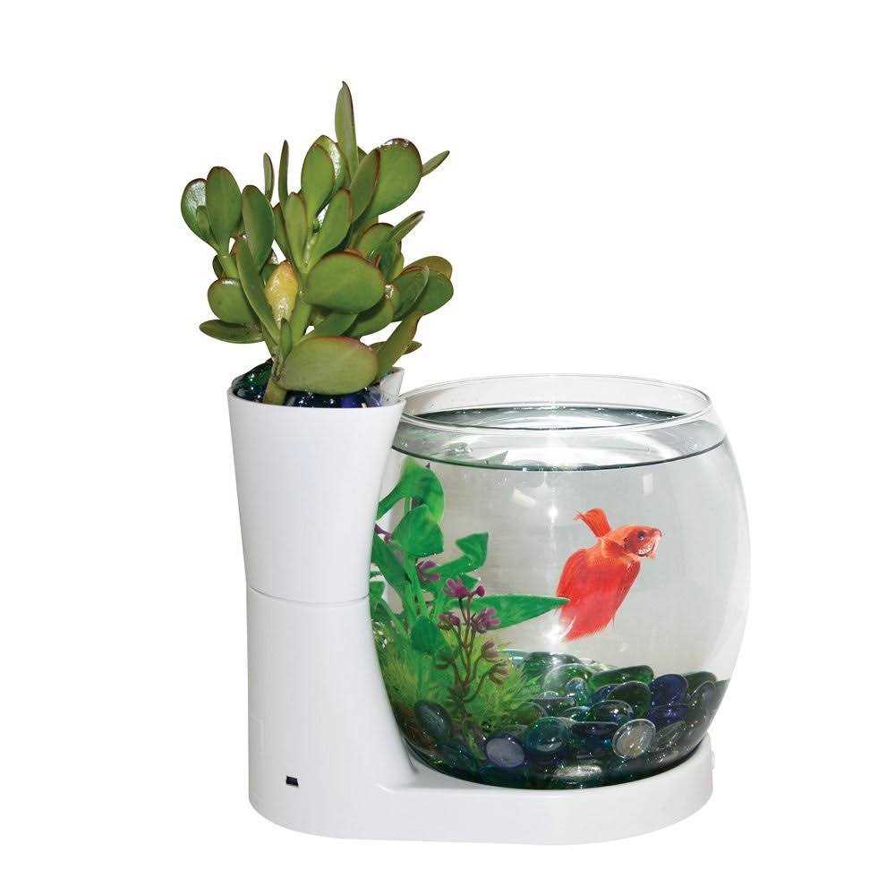Betta Fish Bowl with Planter G879