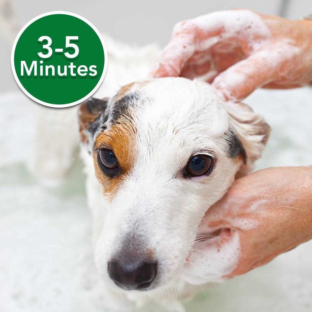 Oatmeal Medicated Dog Shampoo F940495