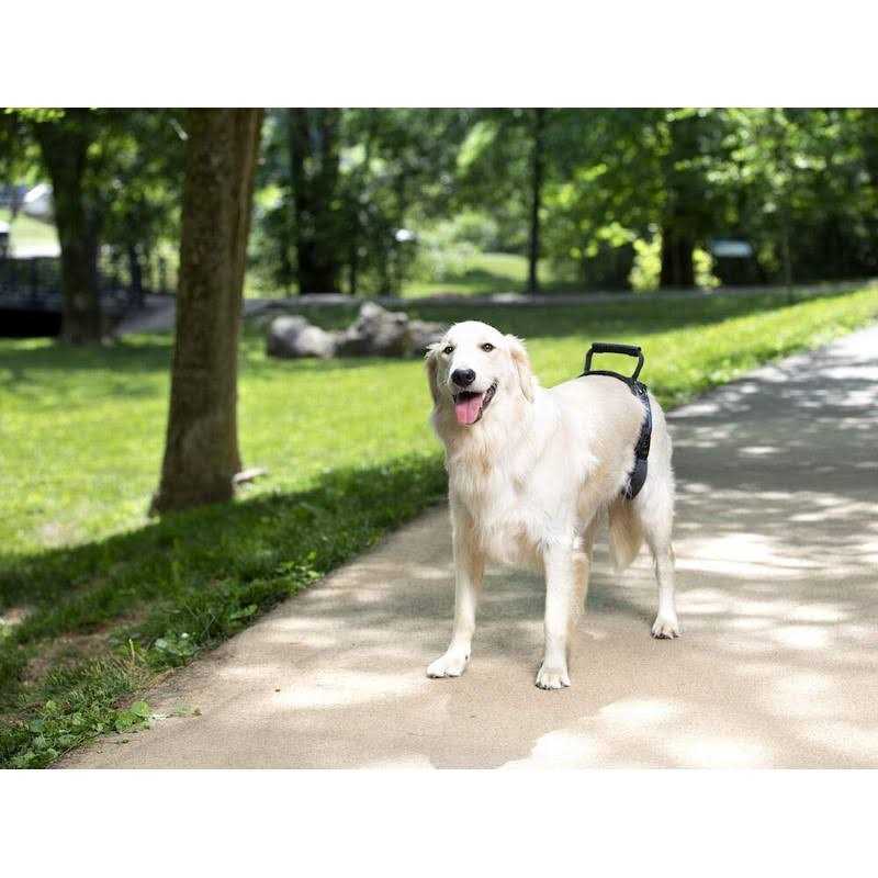 Dog Rear Harness C875