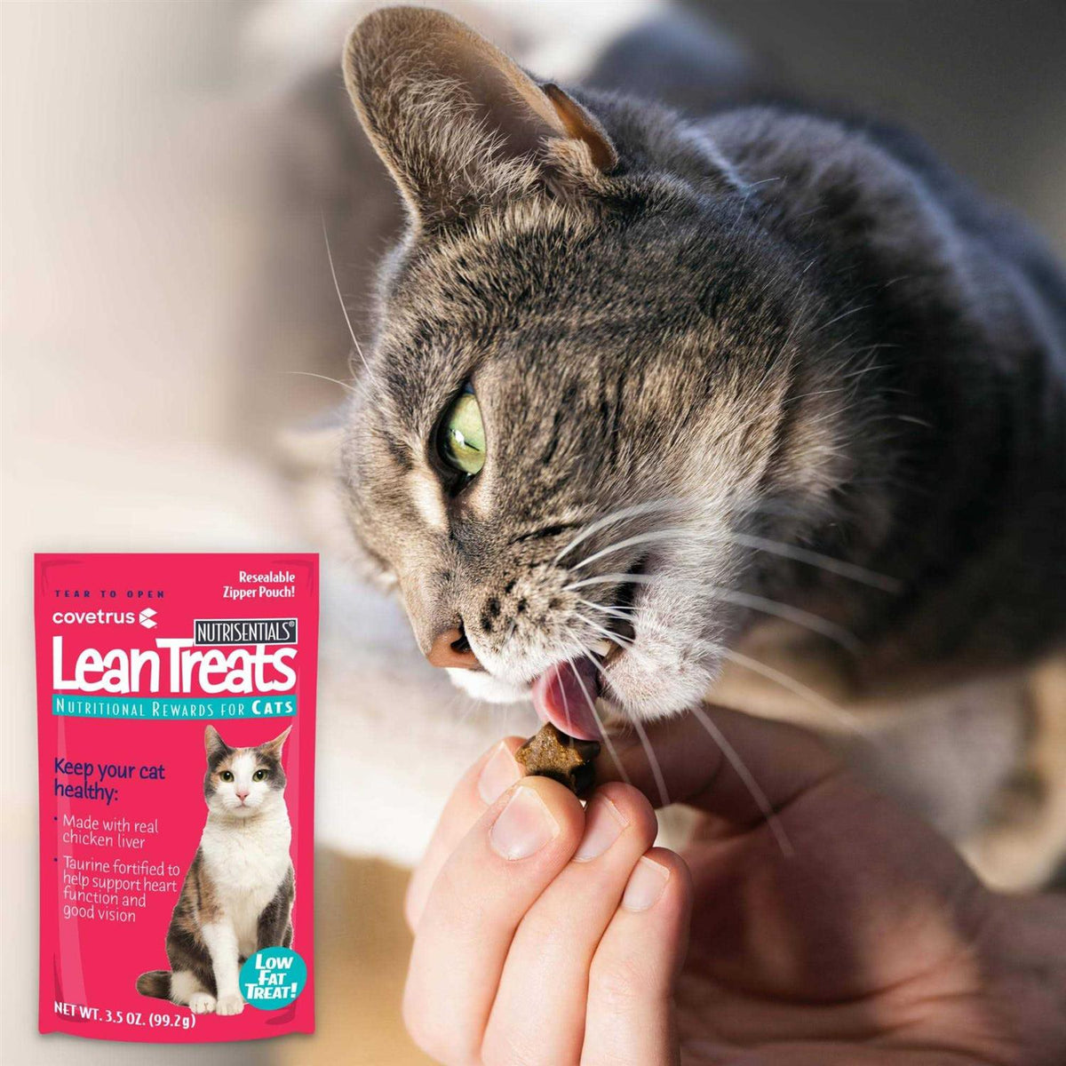 Lean Treats for Cats Soft Cat Treats U82157