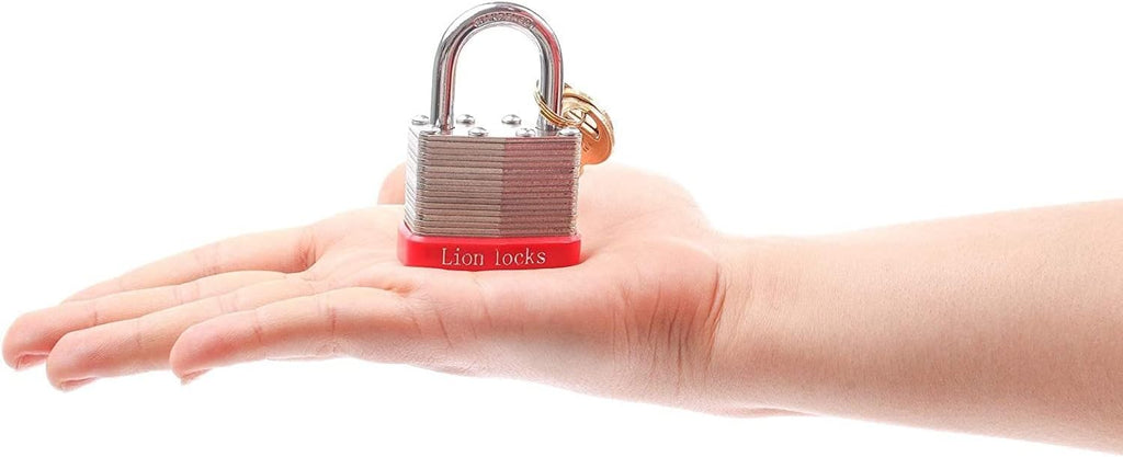 24 Keyed-Alike Padlocks with 1.25” Shackle, Hardened Steel Case, Brass Cylinder C789